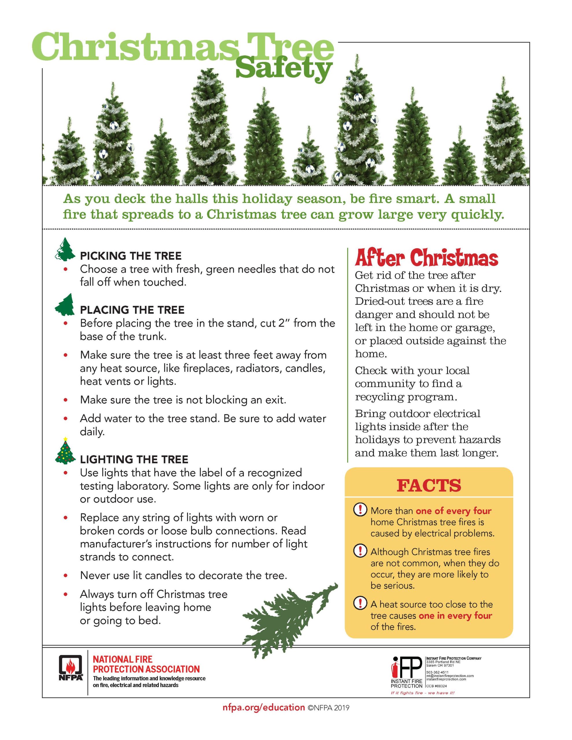 Safety tip sheet for Christmas trees
